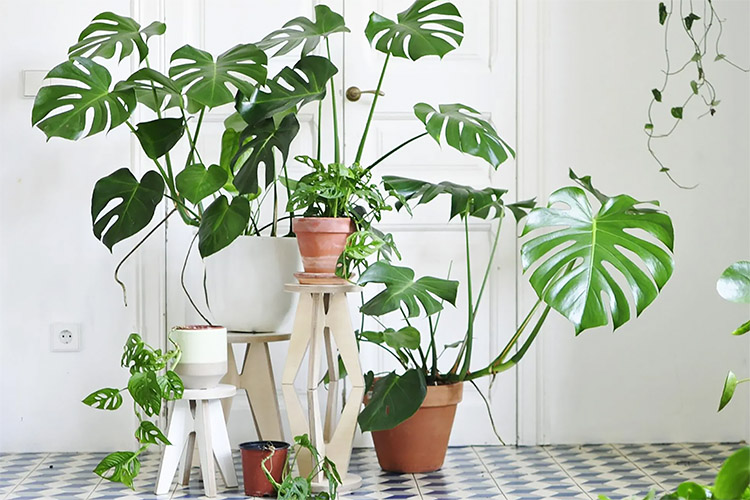 d4a3ec1d56798a06b5c6879d5f4d20f0